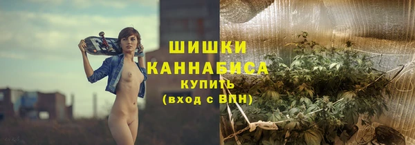 мдпв Лагань