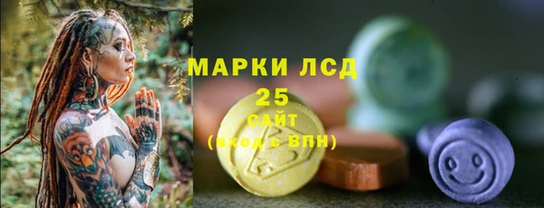 мдпв Лагань