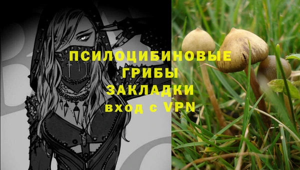 мдпв Лагань