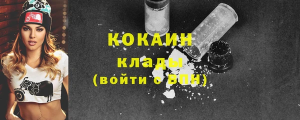 мдпв Лагань