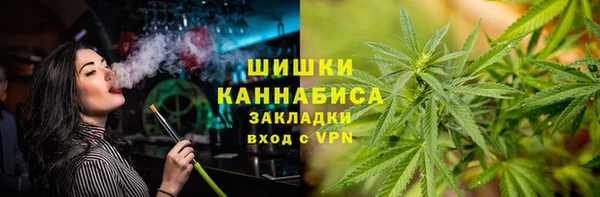 мдпв Лагань
