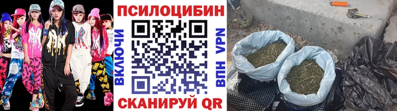 Галлюциногенные грибы Psilocybine cubensis  Купить где  Хотьково 